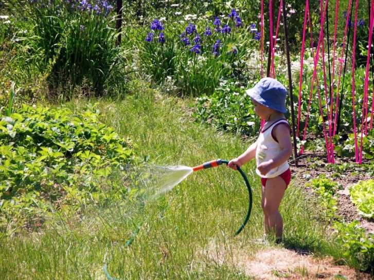 gardening-sunwarrior.com