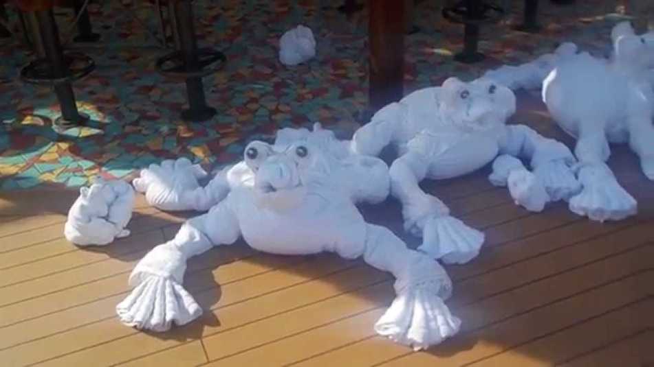 towel-carnivalsunshine