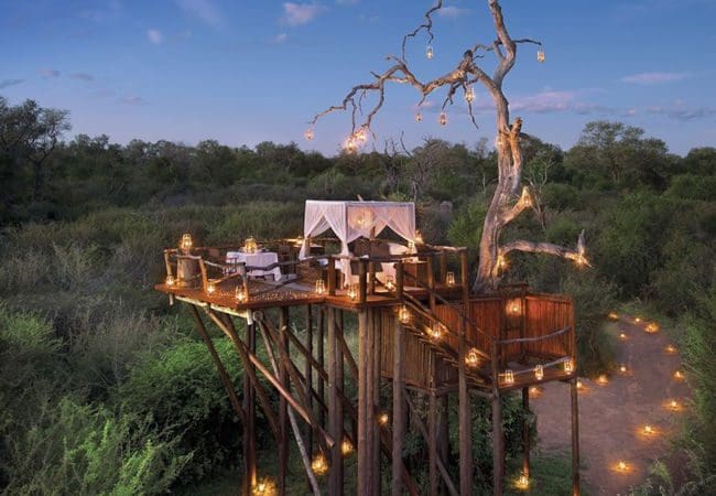 th-HoneymoonTH-KrugerNatlPark-SouthAfrica-theknot.com