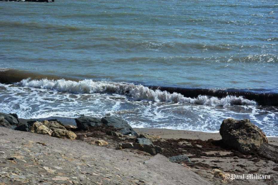 "Seashore" - Paul Militaru Photography