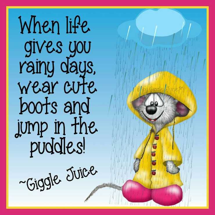 Giggle Juice via Vickie Eisenlohr