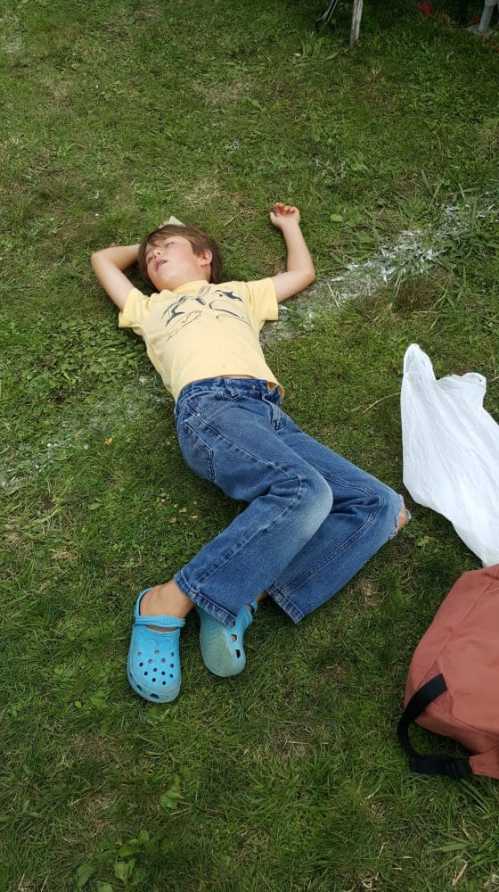 gardeningkiwi.wordpress.com