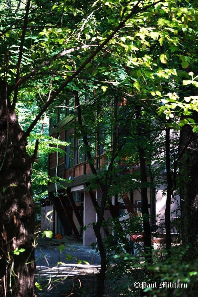 "Hidden from Prying Eyes" - Paul Militaru Photography