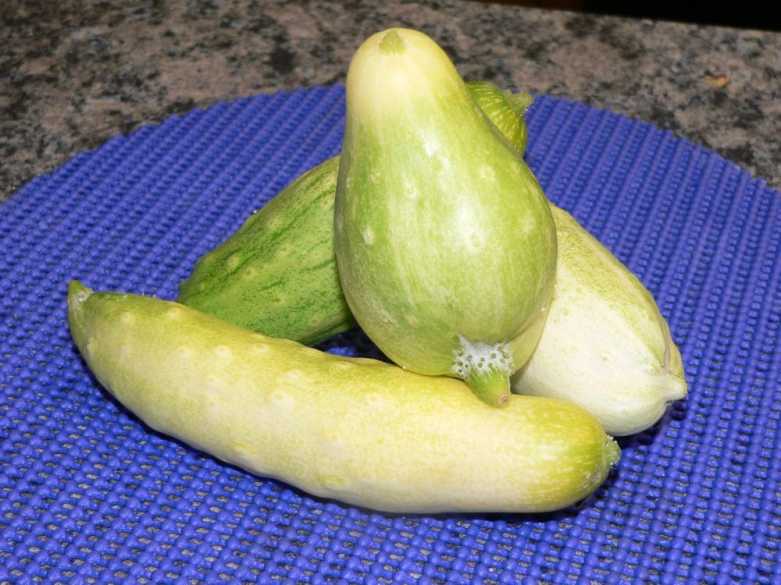cukes2
