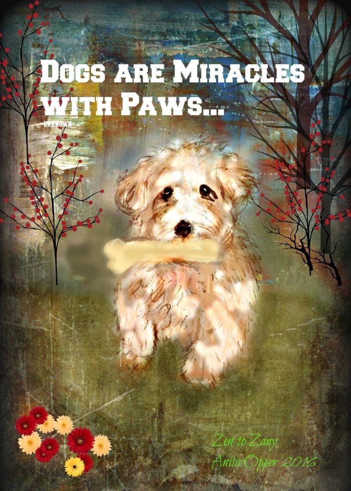 Anita Opper - Zen to Zany  via Cathy Ruggiero