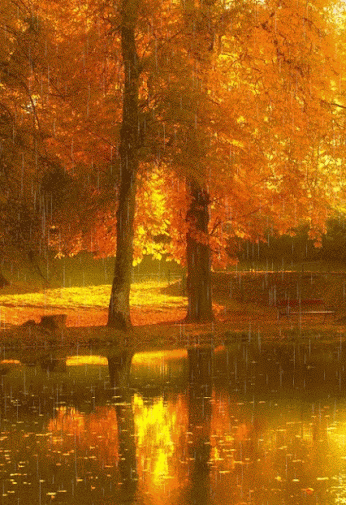 Glorious Fall | creativeartworksblog