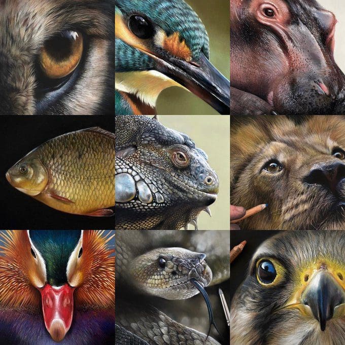 Paul Miller Art | creativeartworksblog