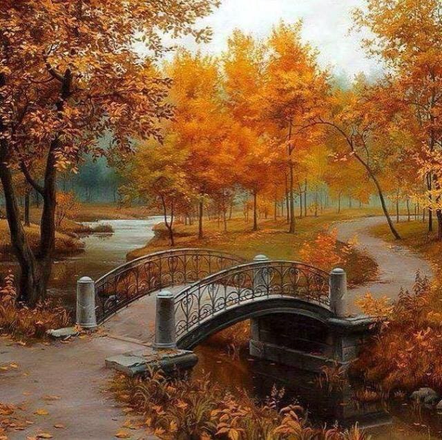 Almaz Imanova via Akiva Huber