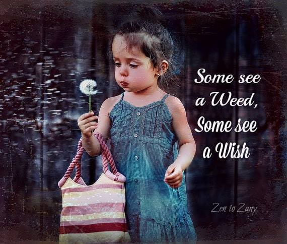 Zen to Zany via Cathy Ruggiero