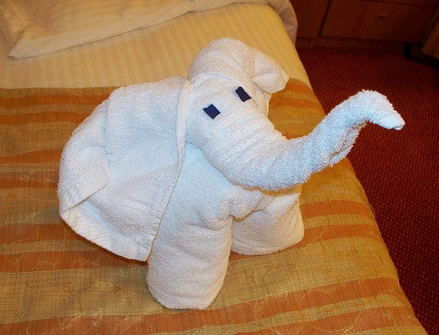 towel-kuriositas