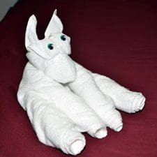 towel-www-maketowelanimals-com2