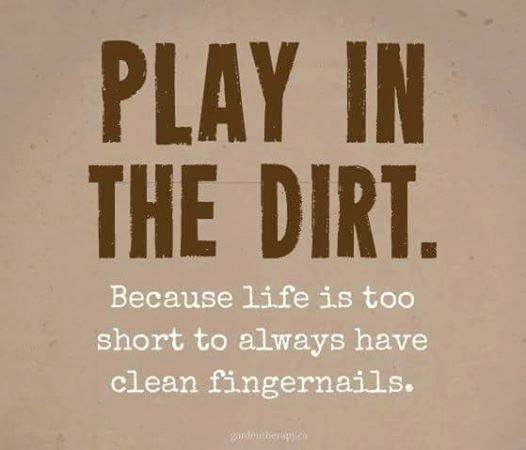 The Herb Society of America-via-Cathy Ruggiero