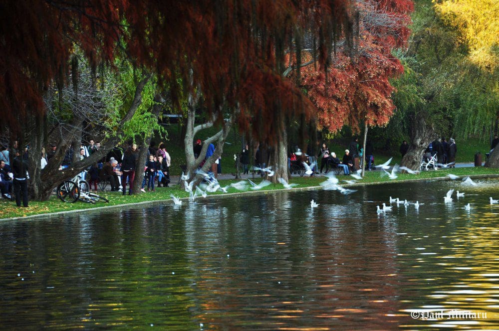 "Warm Colors of Autumn - Paul Militaru Photography