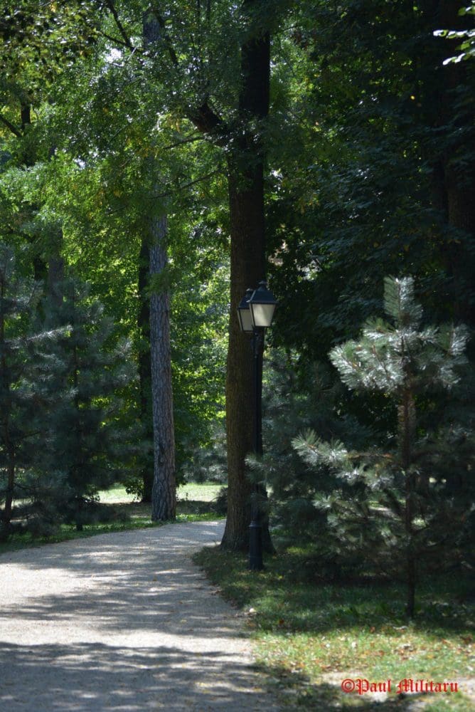 "Lantern" - Paul Militaru Photography