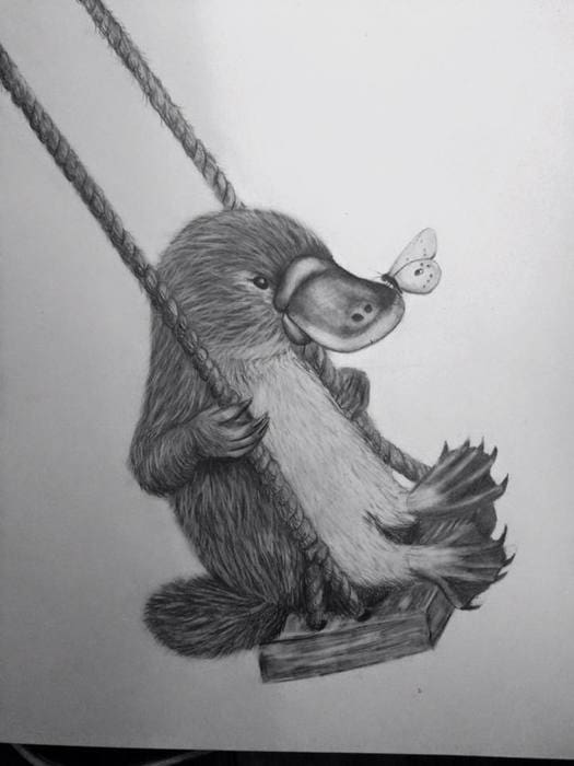 swingingplatypus