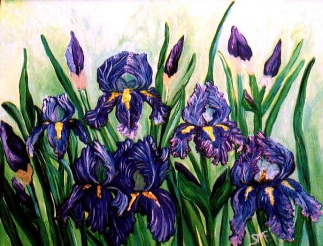 "Iris Garden" by Sherry Dell'aria McGrath