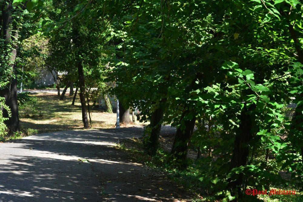 "Shady Alley" - Paul Militaru Photography