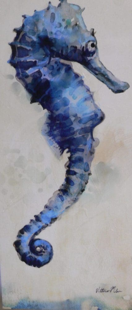 chr-seahorse
