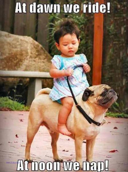 Email from Bill Lites