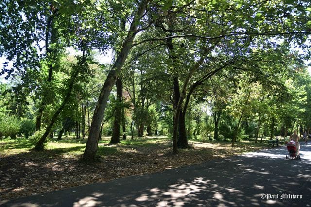"Afternoon Walk" - Paul Militaru Photography