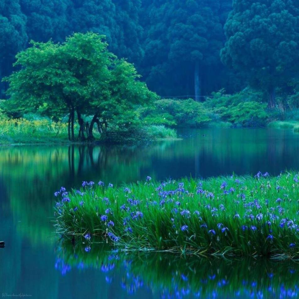 Tracy Topps via Cathy Ruggiero