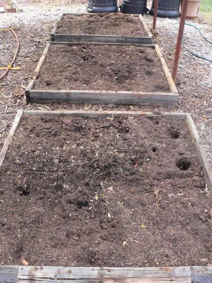 clearedgroundgardensquares