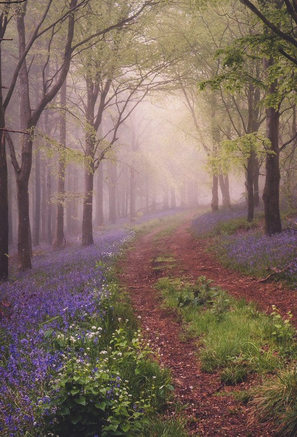 More Matt Pinner Photography | creativeartworksblog