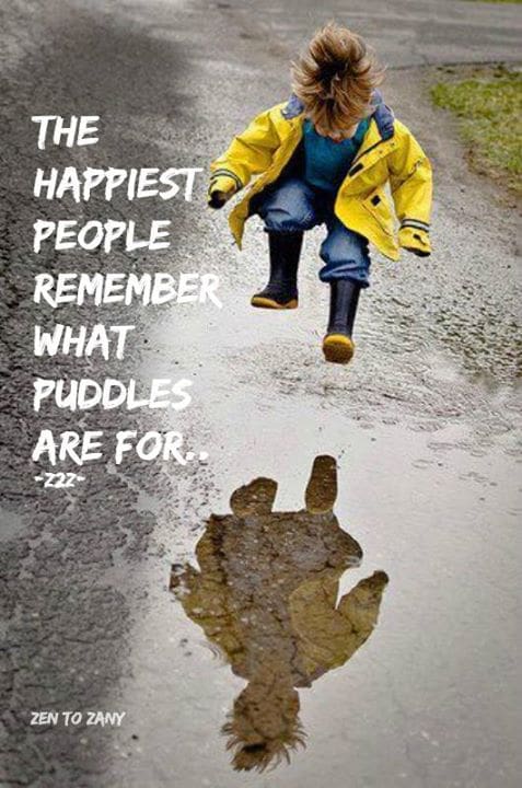 Zen to Zany via Cathy Ruggiero