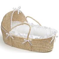 bas-mosesbaskets-overstock-com