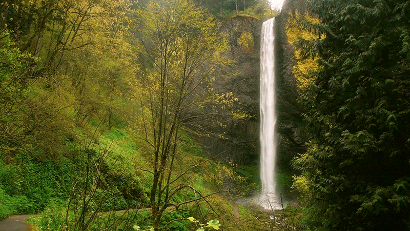 Thanks to email from Marsha Koenig