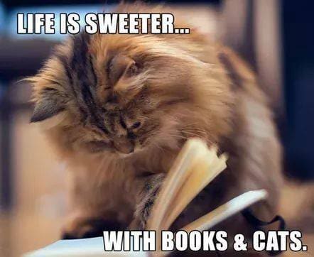 The Crazy Cat Man via Cathy Ruggiero