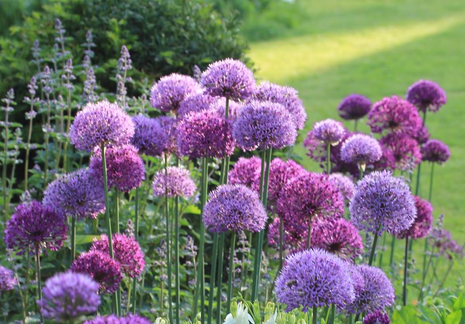 Love For Nature and Design via  Cathy Ruggiero