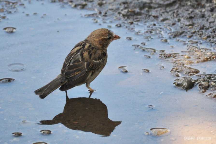 "Lost" - Paul Militaru Photography