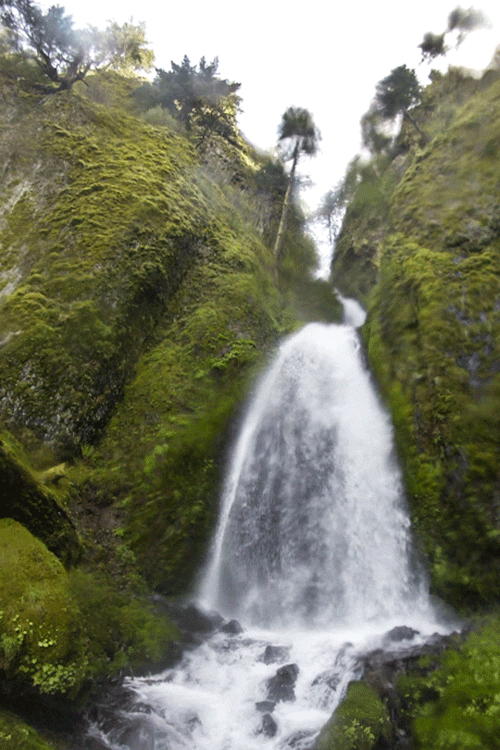 Wahkeena Falls, Tumblr
