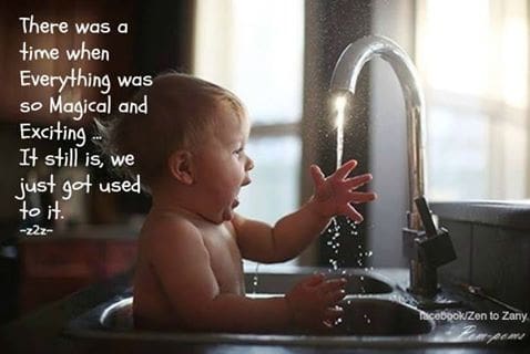 Zen to Zany via Cathy Ruggiero