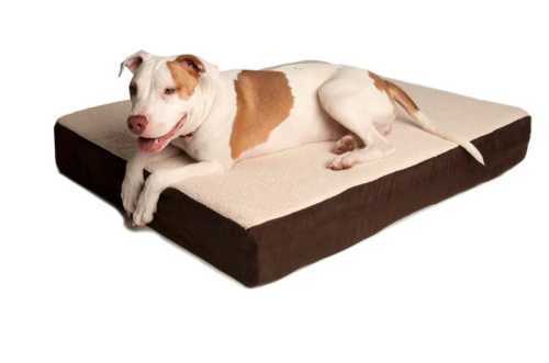 Orthopedic Bed - SerenityHealth.com - 3 Shades of Dog