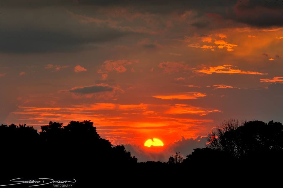 photo by Sergio Dardon