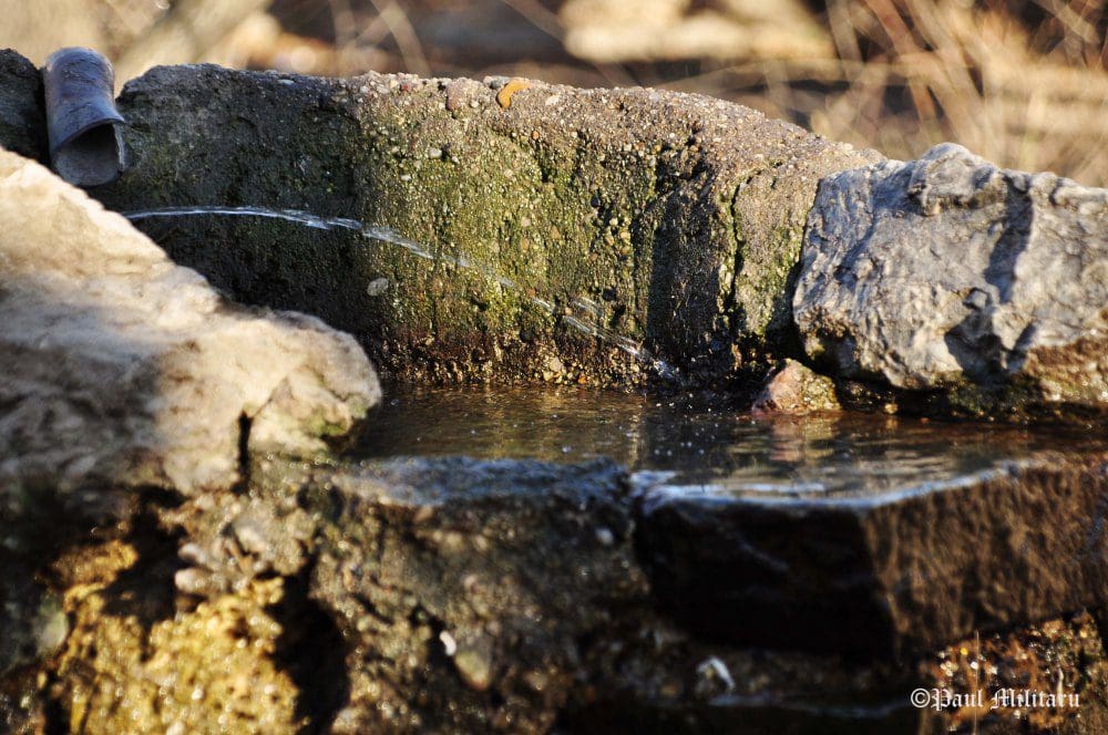 "Water Spring" - Paul Militaru Photography