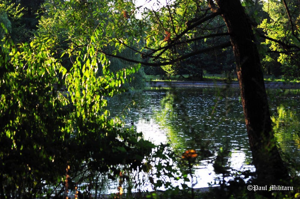 "The Lake" - Paul Militaru Photography