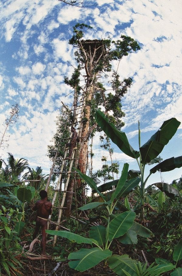 th-jackandthebeanstalk-Indonesia-mymodernmet.com